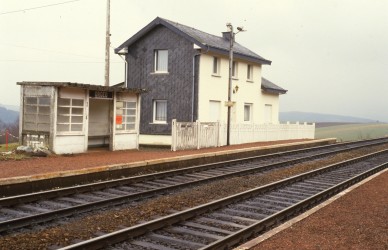 ORGEO  DIA 84-3596.jpg